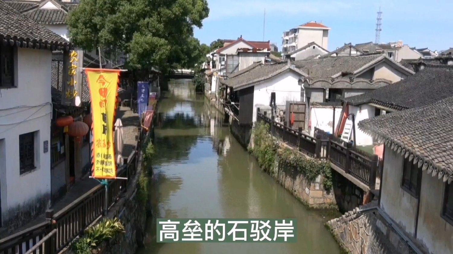 逃离棕榈树森林