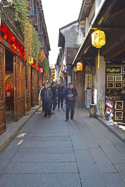 拯救精灵的土地6